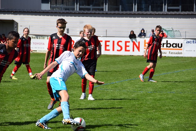 这一决策的 这一决策的